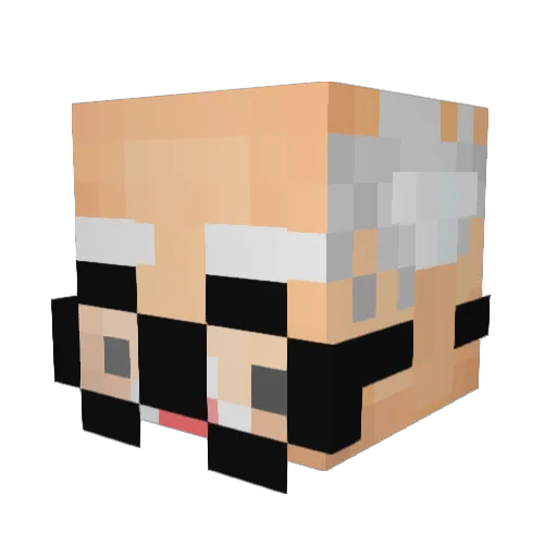 AshWay_ Minecraft avatar head, 3D render