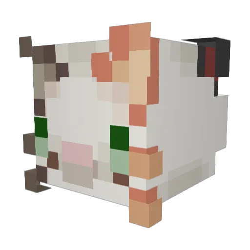 AshWolf_20 Minecraft avatar head, 3D render