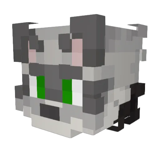 AshWolfy Minecraft avatar head, 3D render