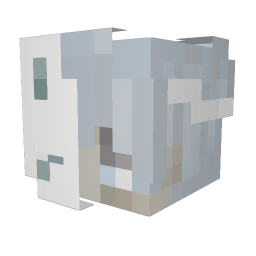 Ash_631 Minecraft avatar head, 3D render