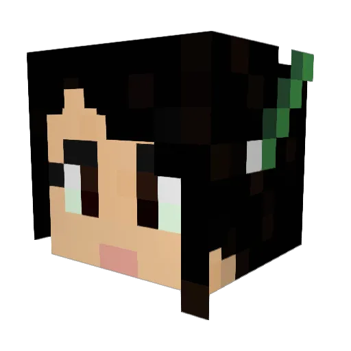 Ash_Night Minecraft avatar head, 3D render