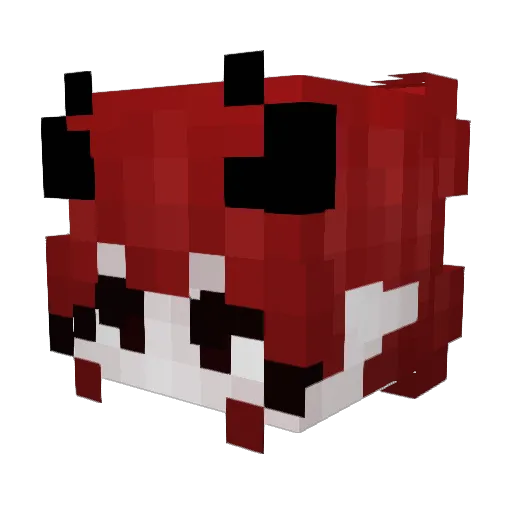 Ash__Void Minecraft avatar head, 3D render