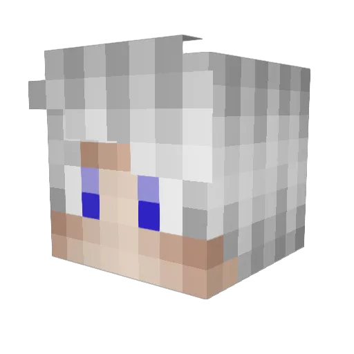 Ash_ketshup Minecraft avatar head, 3D render