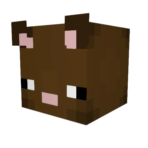 Ash_trashmouth Minecraft avatar head, 3D render