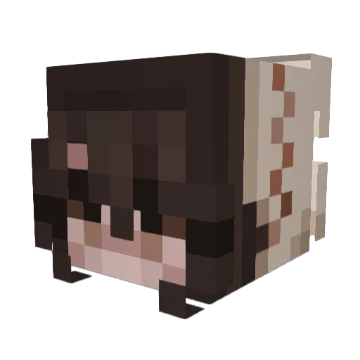 Ash_tree5 Minecraft avatar head, 3D render