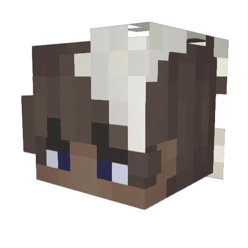 AshaLapis Minecraft avatar head, 3D render