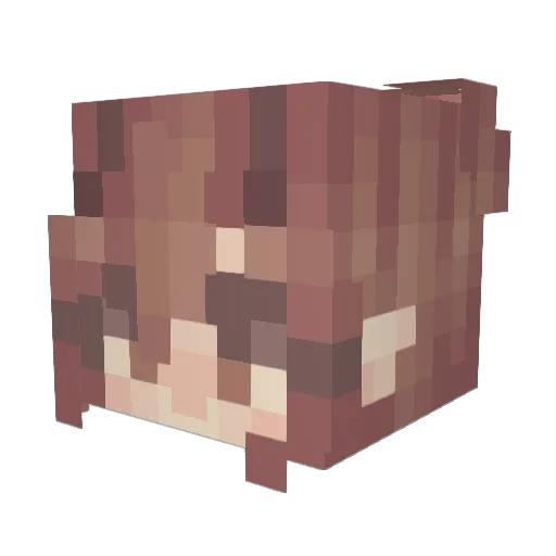 Ashallayn11 Minecraft avatar head, 3D render