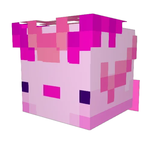 Ashalovet Minecraft avatar head, 3D render