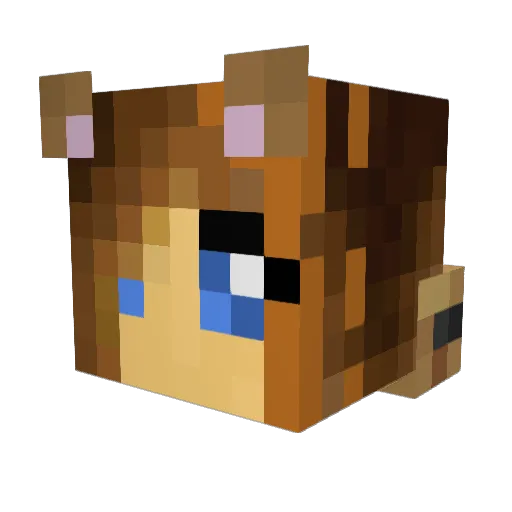 Ashblossom0811 Minecraft avatar head, 3D render