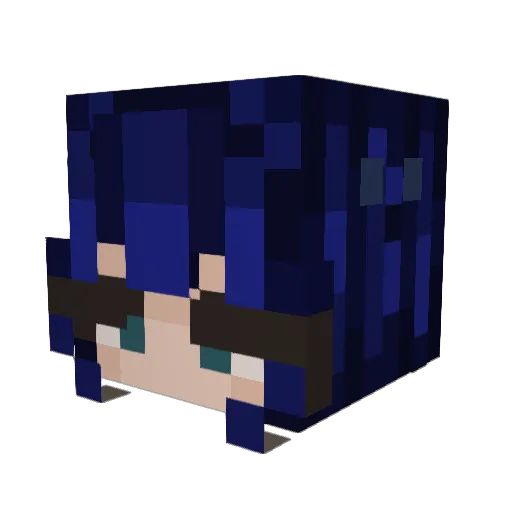 Ashe105 Minecraft avatar head, 3D render