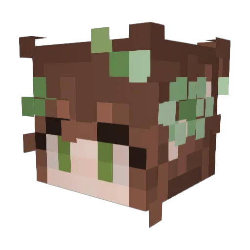 AsheVoid Minecraft avatar head, 3D render