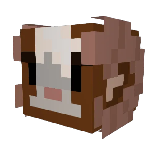 Ashejars Minecraft avatar head, 3D render