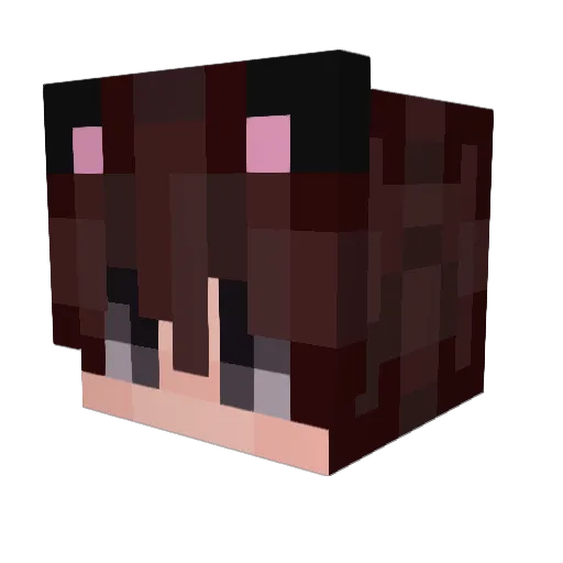 Ashemaxxer Minecraft avatar head, 3D render
