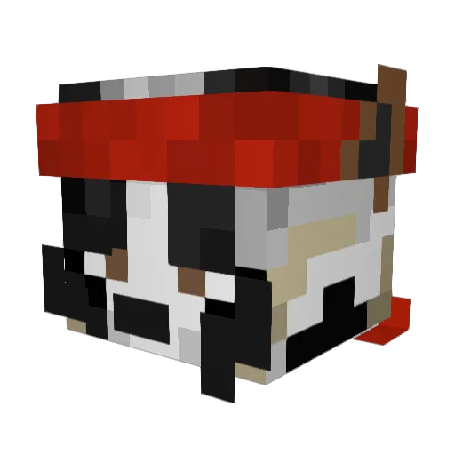 Asheneraki Minecraft avatar head, 3D render