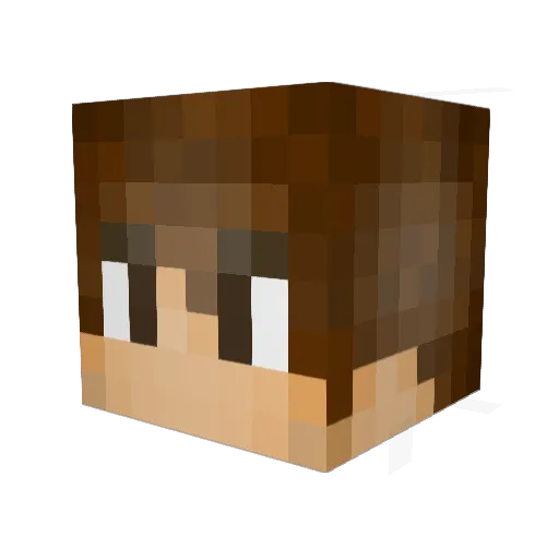 Asheng520 Minecraft avatar head, 3D render