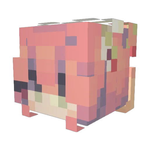 Ashenvaine Minecraft avatar head, 3D render
