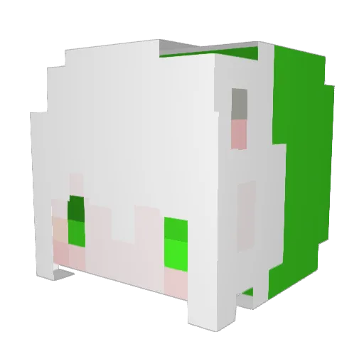 Asher0322 Minecraft avatar head, 3D render