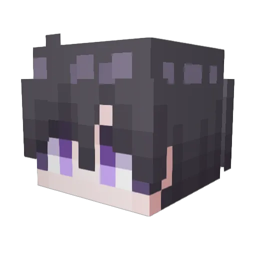 Asher0627 Minecraft avatar head, 3D render