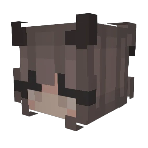 Asher10_ Minecraft avatar head, 3D render