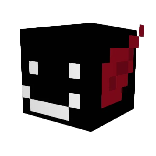 Asher354 Minecraft avatar head, 3D render