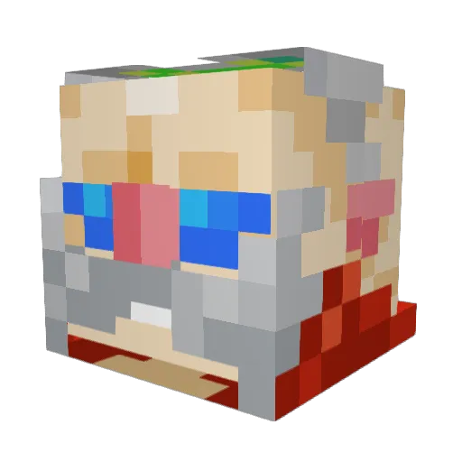 Asher5581 Minecraft avatar head, 3D render