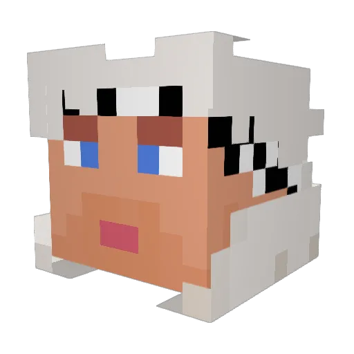 AsherCole Minecraft avatar head, 3D render