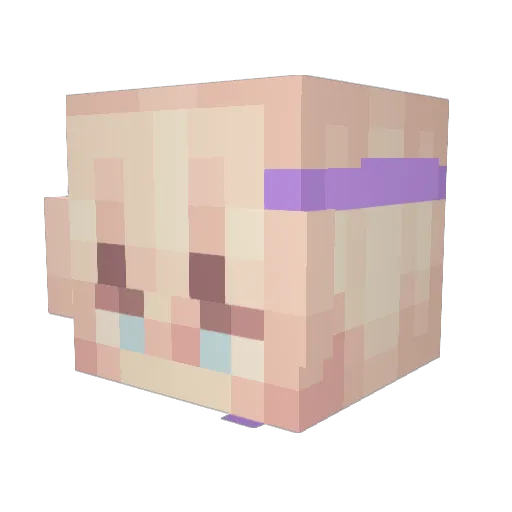 AsherWallace Minecraft avatar head, 3D render
