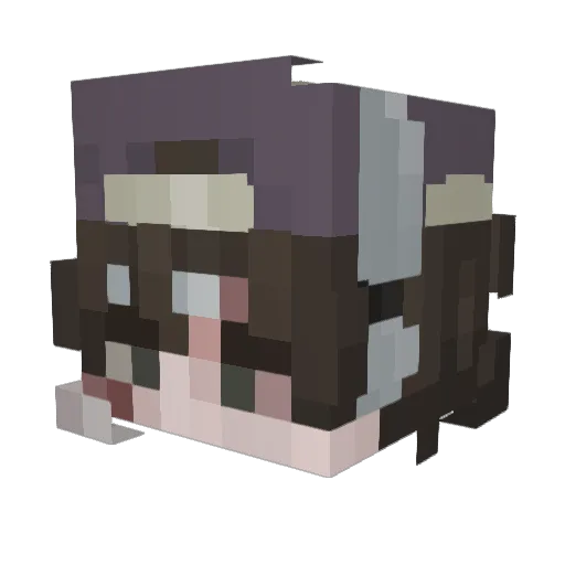 Asher_falls Minecraft avatar head, 3D render