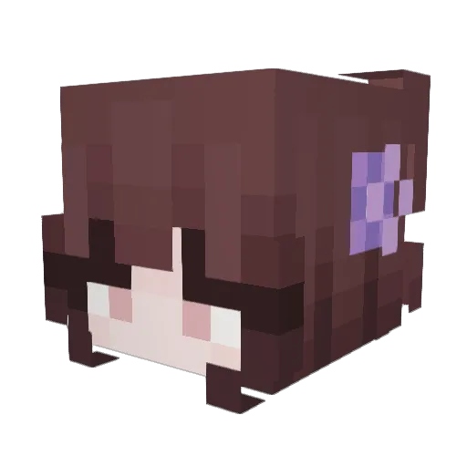 Asherzbb Minecraft avatar head, 3D render