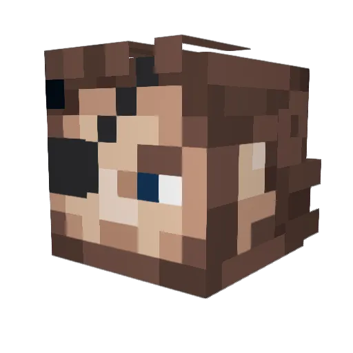 Asherzero Minecraft avatar head, 3D render