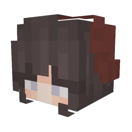 Ashes463 Minecraft avatar head, 3D render