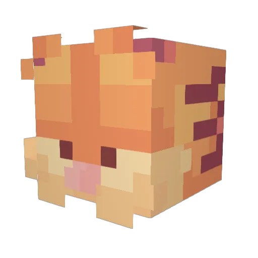Ashes69 Minecraft avatar head, 3D render