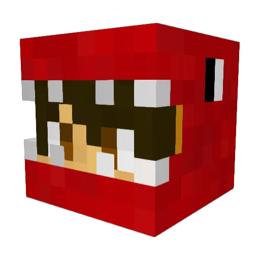 Ashes Minecraft avatar head, 3D render