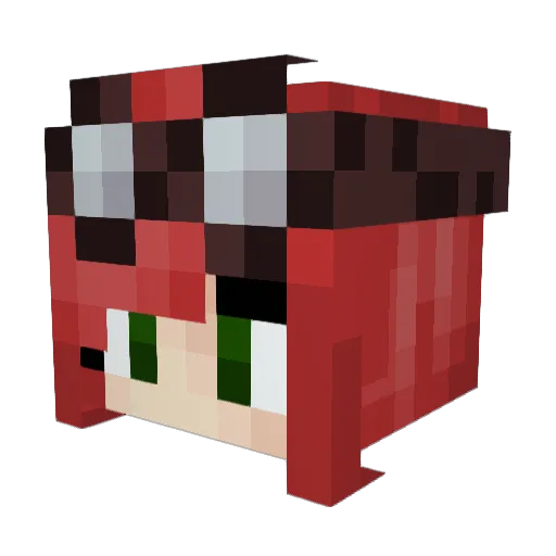AshesOfRoses Minecraft avatar head, 3D render