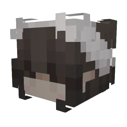 Ashey17 Minecraft avatar head, 3D render