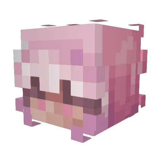 Ashie994 Minecraft avatar head, 3D render