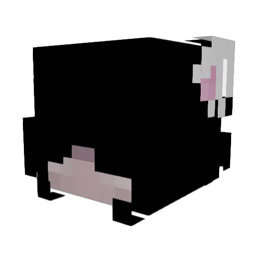 Ashie_UwU Minecraft avatar head, 3D render