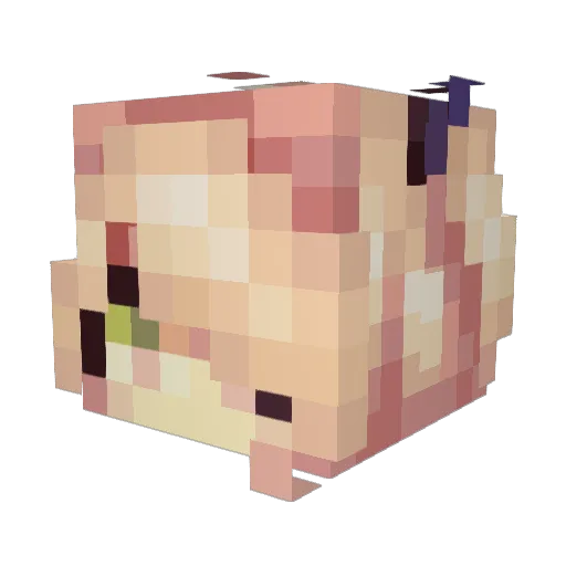 Ashiekujo Minecraft avatar head, 3D render