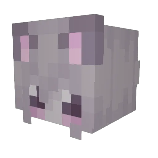Ashilbee Minecraft avatar head, 3D render