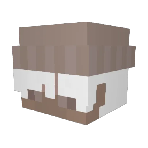 Ashimo1404 Minecraft avatar head, 3D render