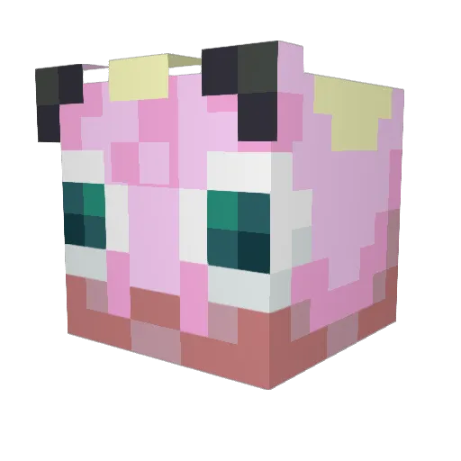 Ashinorii Minecraft avatar head, 3D render