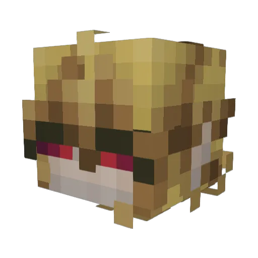 Ashir Minecraft avatar head, 3D render