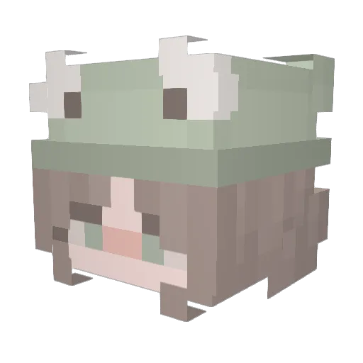 Ashiwyn Minecraft avatar head, 3D render