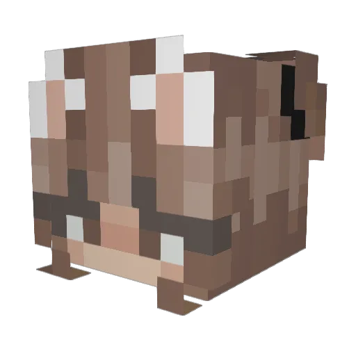 Ashkoort Minecraft avatar head, 3D render