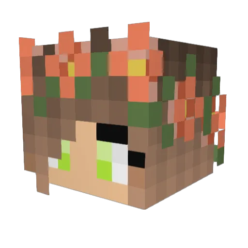 Ashlammy Minecraft avatar head, 3D render