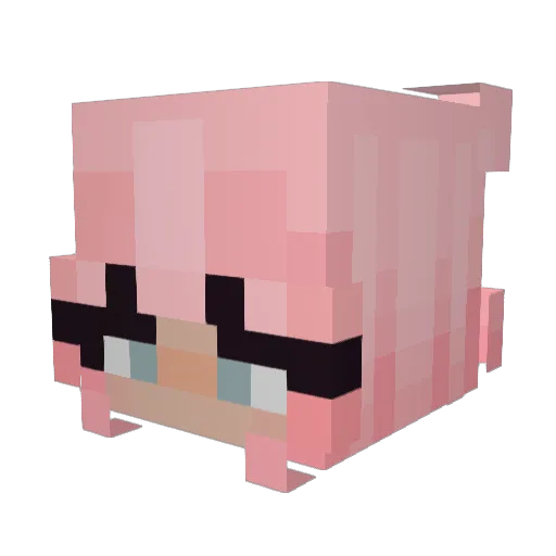 Ashle_y Minecraft avatar head, 3D render