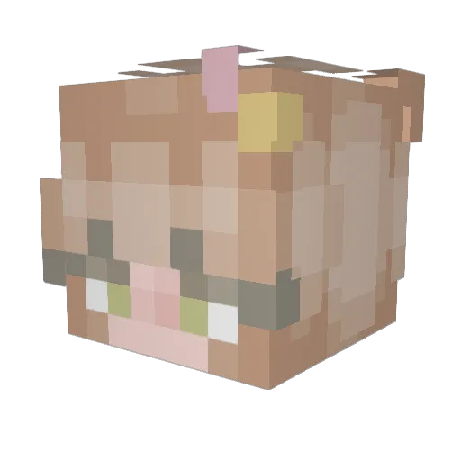 Ashleberry22 Minecraft avatar head, 3D render