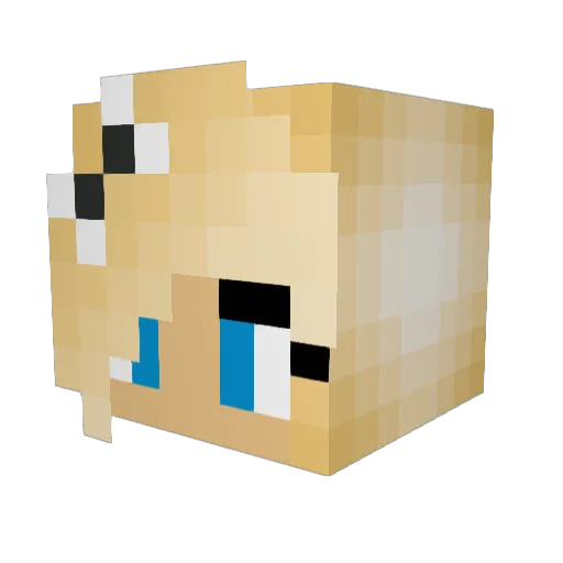 Ashleigh122 Minecraft avatar head, 3D render