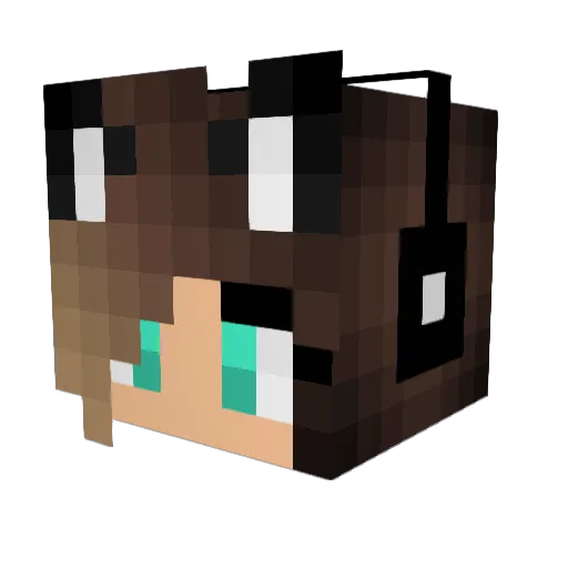 AshleighMeow Minecraft avatar head, 3D render