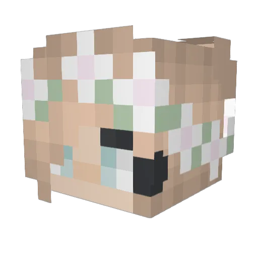 Ashley7388 Minecraft avatar head, 3D render